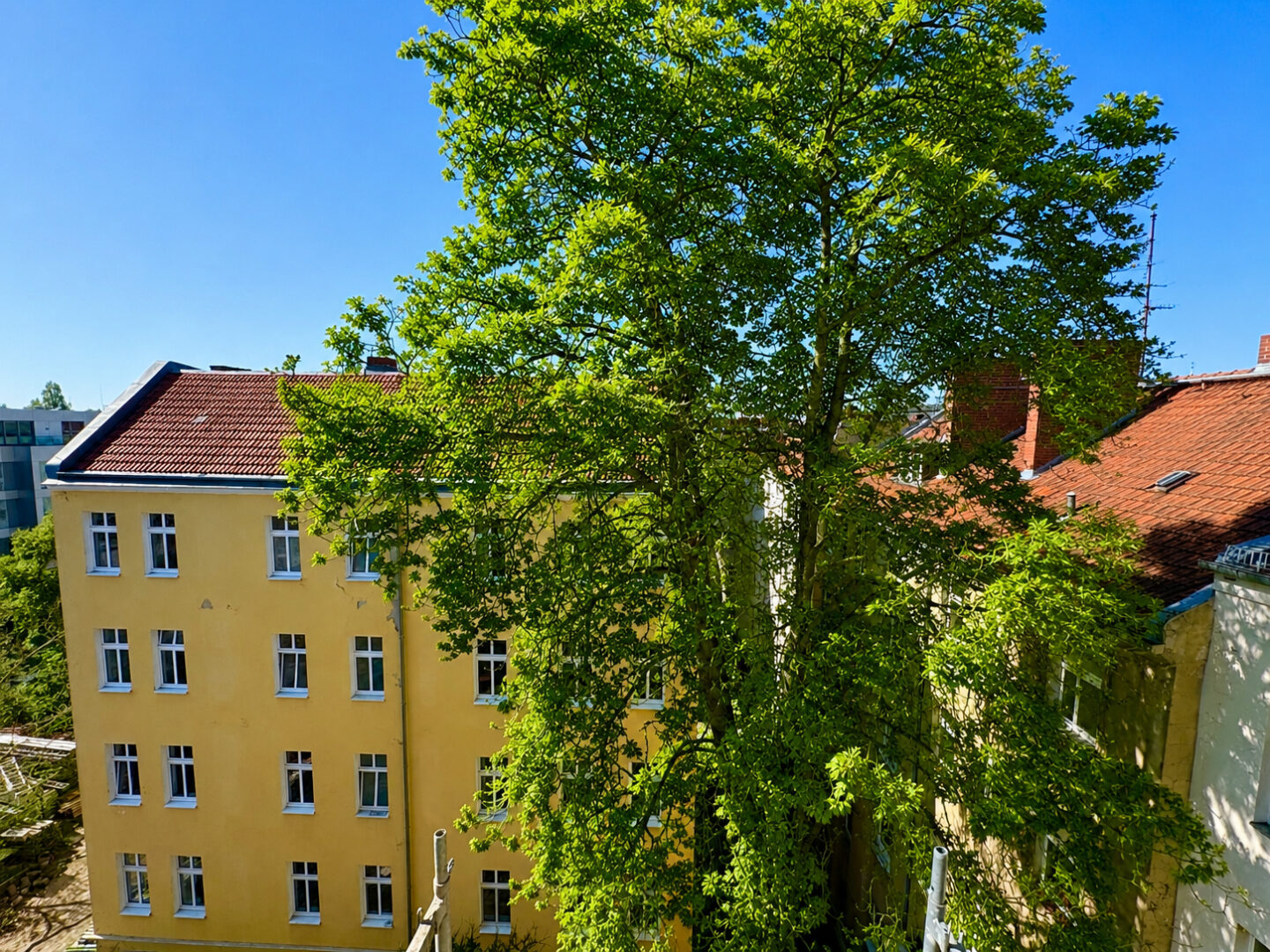 Haus